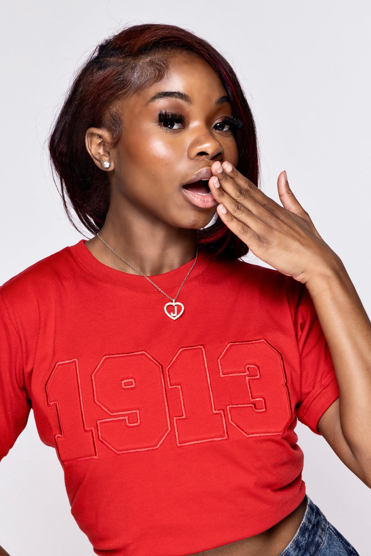 Delta Sigma Theta Sorority, Inc. 3D Embroidery T-shirt (RED)