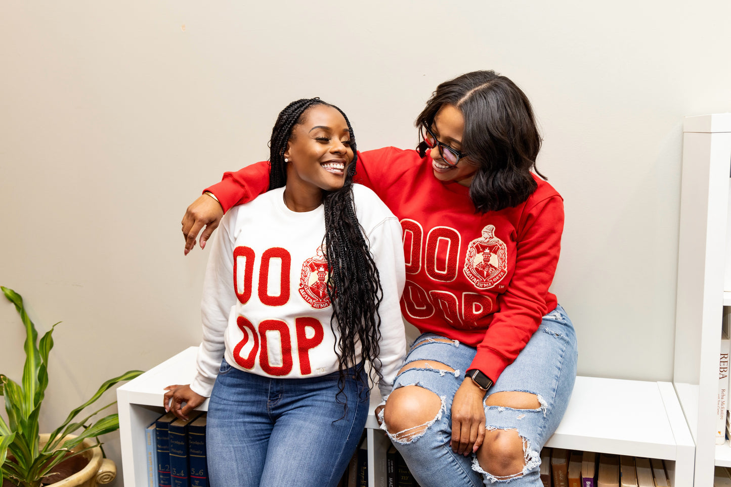 Delta Sigma Theta Sorority, Inc. OP OOP CHENILLE SWEATSHIRT (RED)