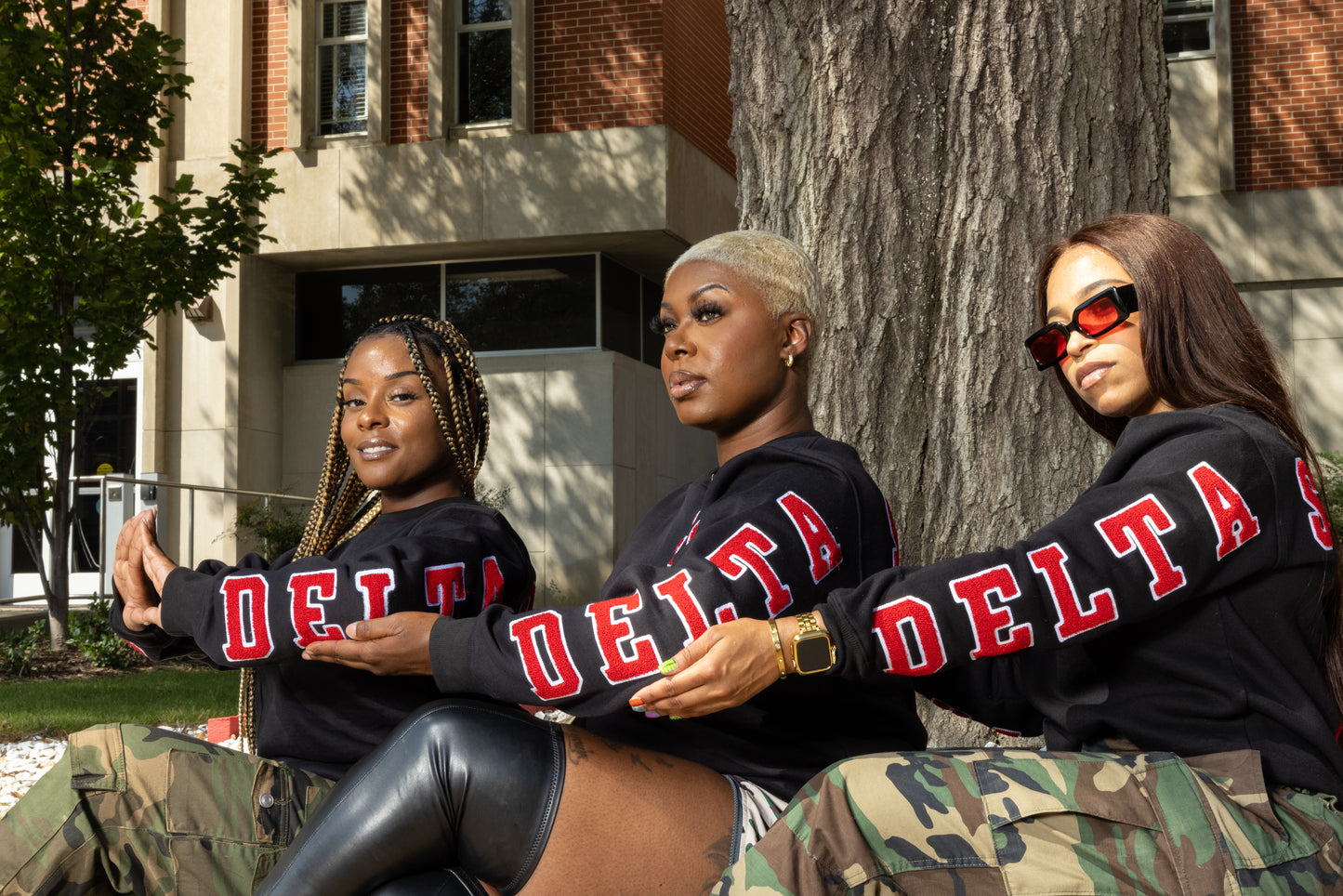 Delta Sigma Theta Sorority, Inc. CHENILLE BACK DESIGN SWEATSHIRT(black)